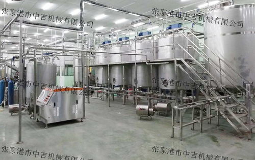 芒果饮料加工设备,芒果果汁饮料生产线