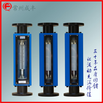 FA24-40 国际先进工艺制造玻璃转子流量计厂家【常州成丰】引进型玻转_电子电工仪器_流量仪表_转子流量计_产品库_中国化工仪器网